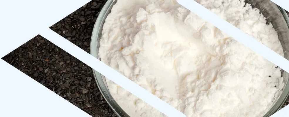 Infinium Pharmachem社 <br>ヨウ素化合物製品のご案内