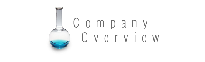 会社概要(Company Overview)